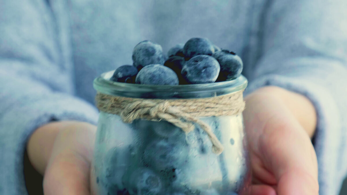 The Spain Blueberry Boom: The Blue Gold Rush For Foreign Investors In 2026 1 Blueberry Spain